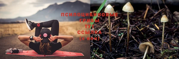 тгк Михайловка