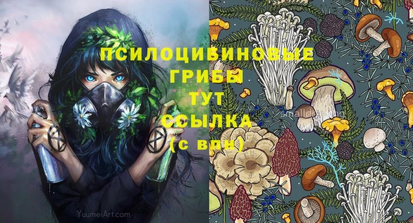 mdpv Надым