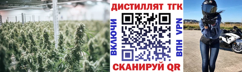 Купить закладки  Никольское  Дистиллят ТГК Wax 