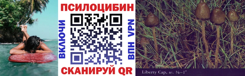 Купить где  Никольское  Псилоцибиновые грибы GOLDEN TEACHER 